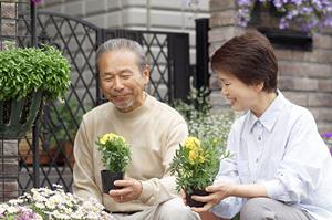 結婚指輪を銀座で素敵に購入したい時には